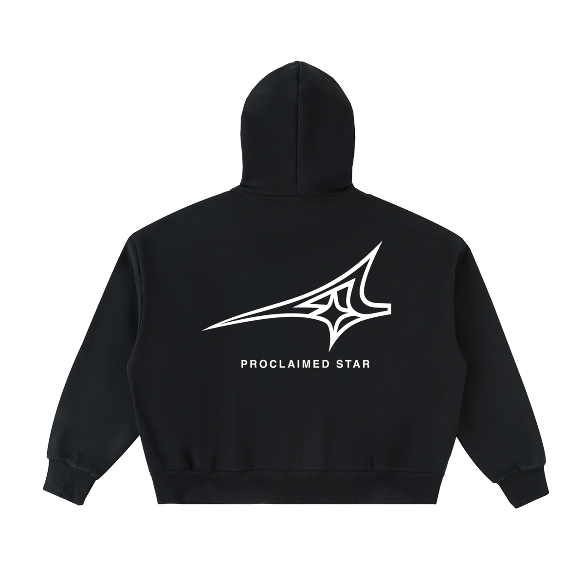 Vintage Boxy FS Hoodie